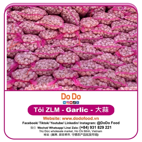 Tỏi ZLM