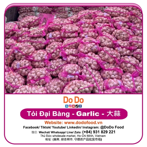Tỏi Đại Bàng