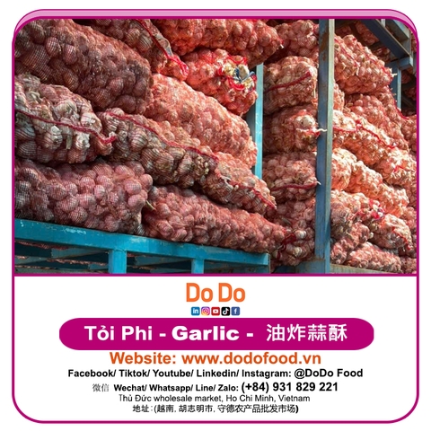 Tỏi Phi
