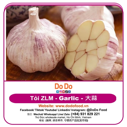 Tỏi ZLM