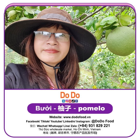 Bưởi 柚子