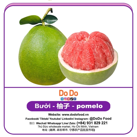 Bưởi 柚子