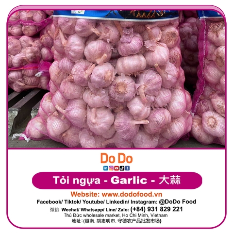 Tỏi Ngựa - DODO GLOBAL