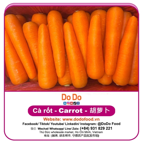 Carrot importing- 胡萝卜进口 | DODO FOOD