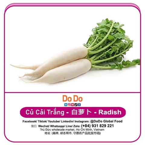Củ Cải Trắng