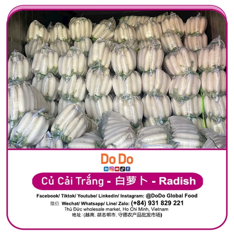 Củ Cải Trắng
