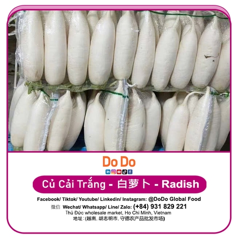 Củ Cải Trắng