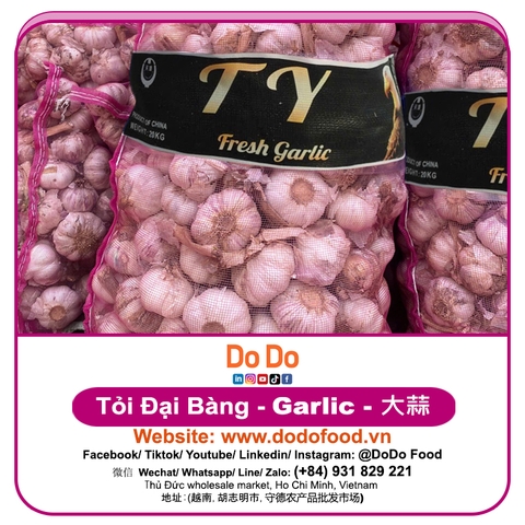 Chinese Garlic Export- 中国大蒜出口