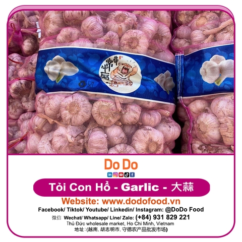 Chinese Garlic Export- 中国大蒜出口
