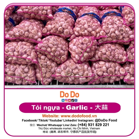 Tỏi Ngựa - DODO GLOBAL