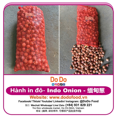 Hành indo