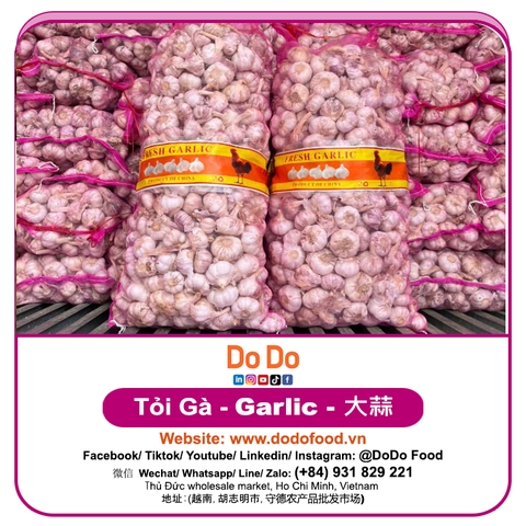 Tỏi Gà - DoDo Food