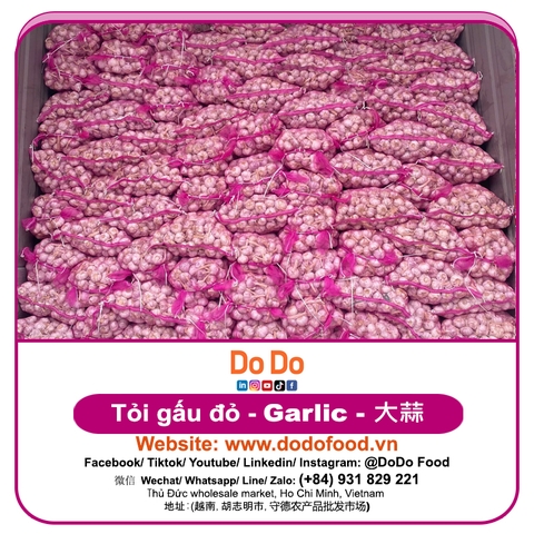 Tỏi gấu đỏ