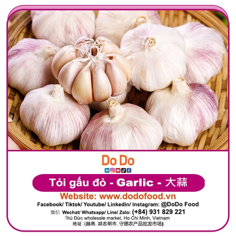 Tỏi gấu đỏ