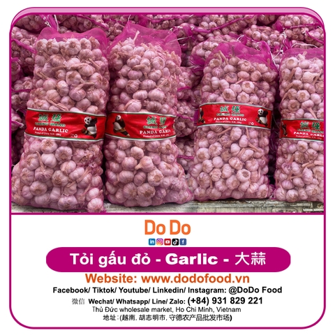 Tỏi gấu đỏ