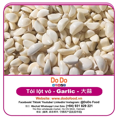 Tỏi xô