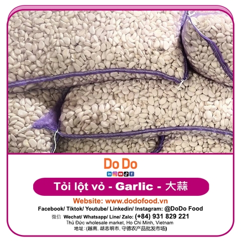 Tỏi lột vỏ - DODO FOOD
