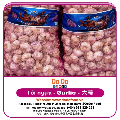 Tỏi Trung Quốc