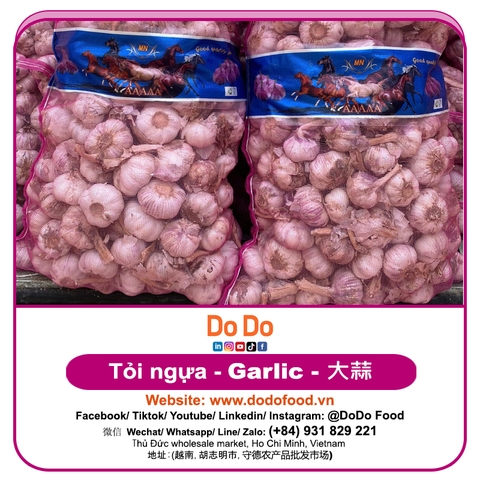 Tỏi Trung Quốc