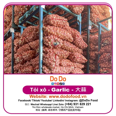 Tỏi xô
