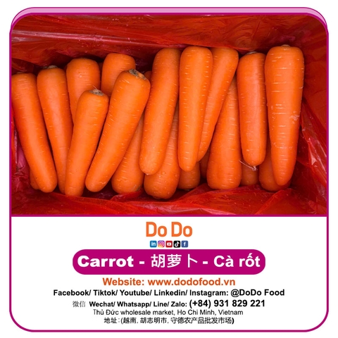 Cà rốt đất