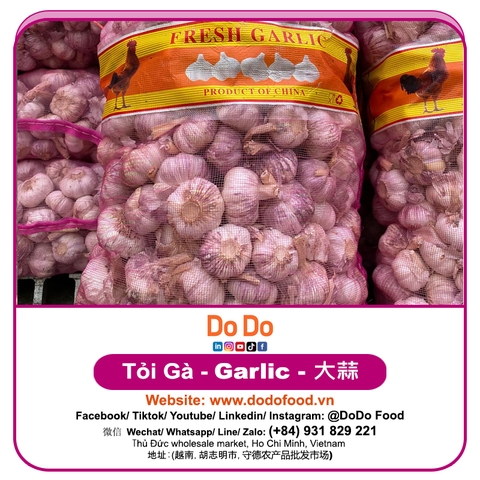 Tỏi Gà - DoDo Food