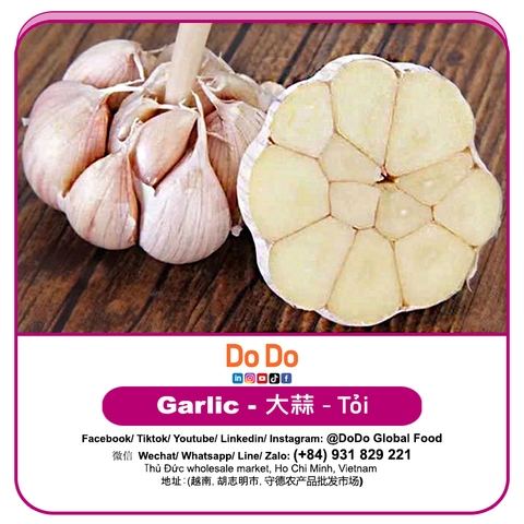Tỏi DODO