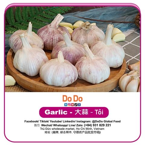Tỏi DODO