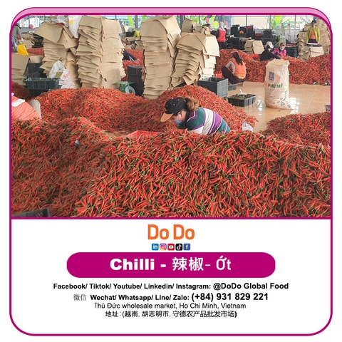 Ớt