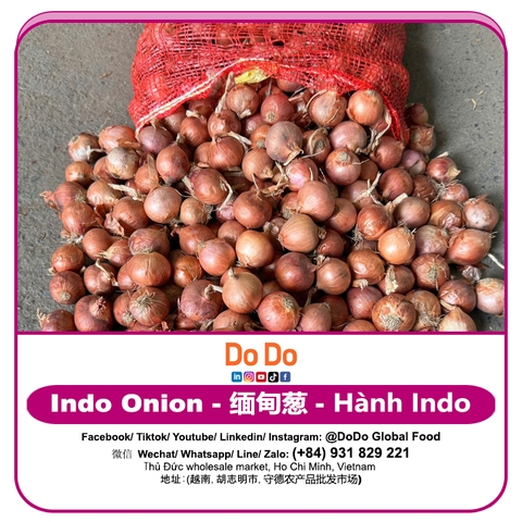 Hành indo