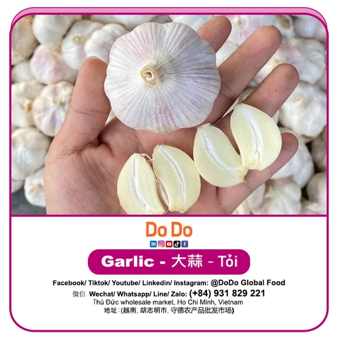 Tỏi DODO