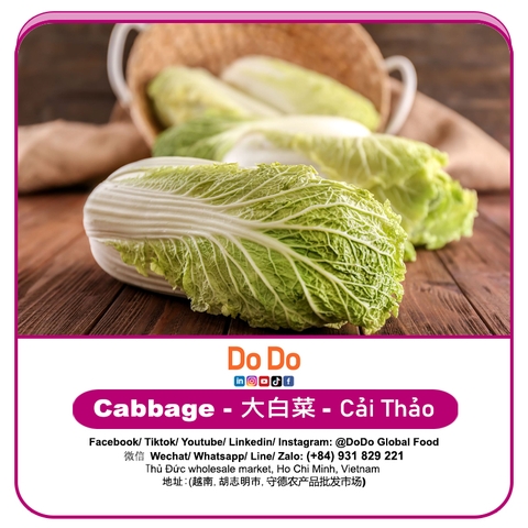 Cải thảo