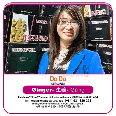 Gừng