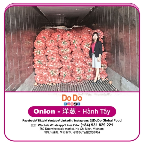 Hành tây