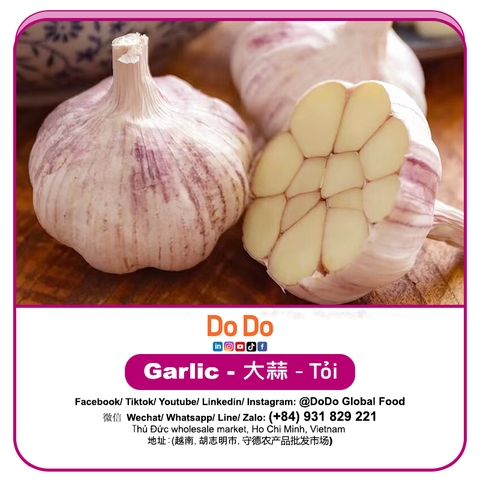 Tỏi DODO