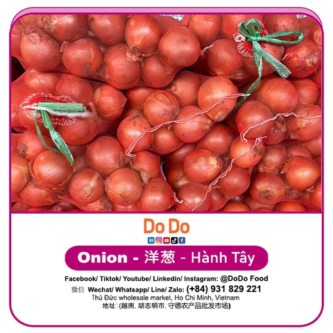Hành tây