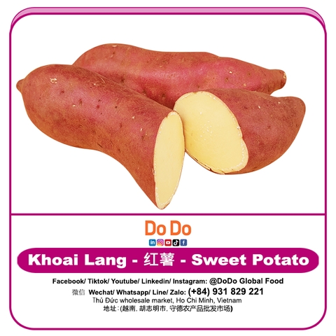 Khoai lang nhật