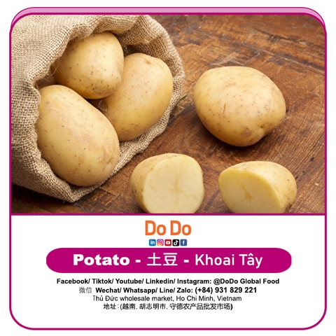 Khoai tây