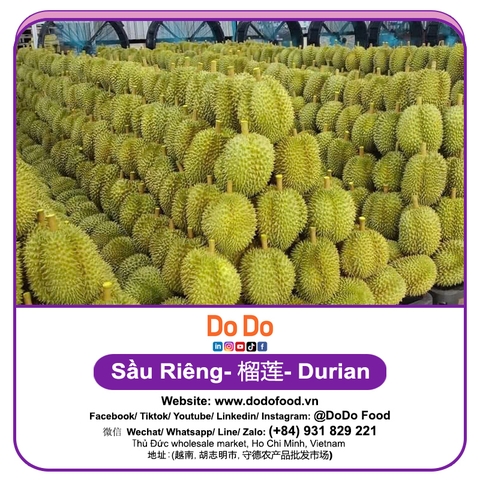 Sầu riêng 榴莲