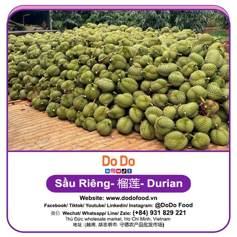 Sầu riêng 榴莲