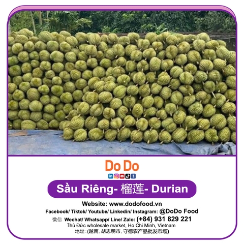 Sầu riêng 榴莲