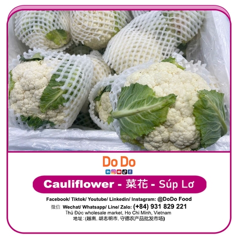 Súp lơ trắng