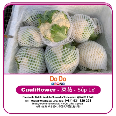 Súp lơ trắng