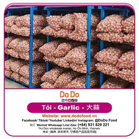Tỏi lột vỏ - DODO FOOD