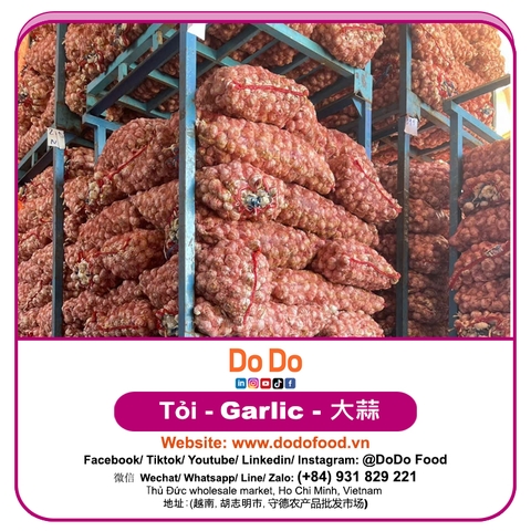 Tỏi lột vỏ - DODO FOOD