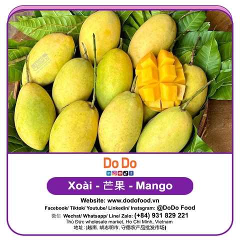 Xoài 芒果