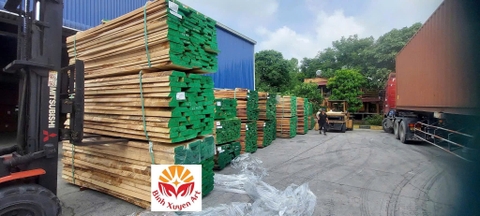 GỖ BEECH CHẤT LƯỢNG CAO