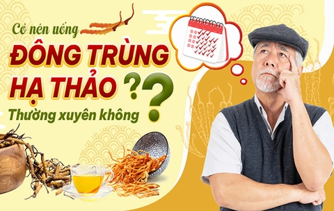 Có nên uống đông trùng hạ thảo thường xuyên không?