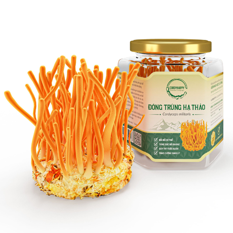 Đông trùng hạ thảo sinh khối tươi