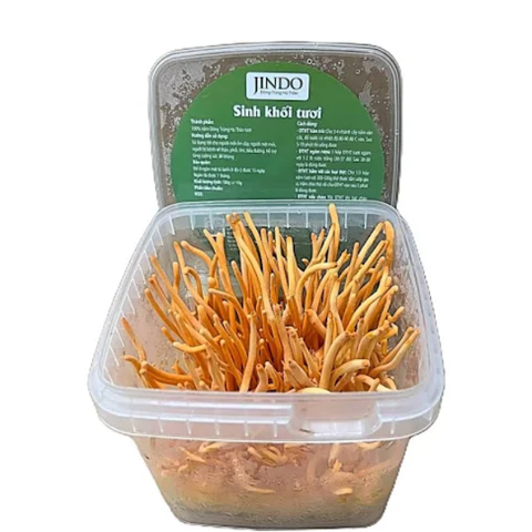 Combo 2 đế tươi đông trùng hạ thảo nguyên khối nuôi cấy tại Đà Lạt thượng hạng